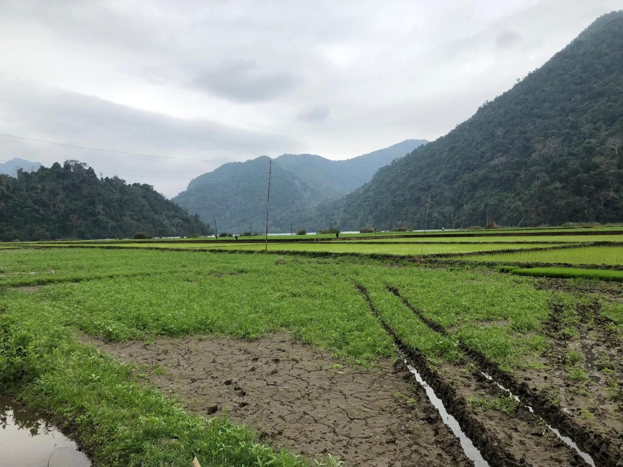 Ba Be Lake View Homestay An Ma エクステリア 写真